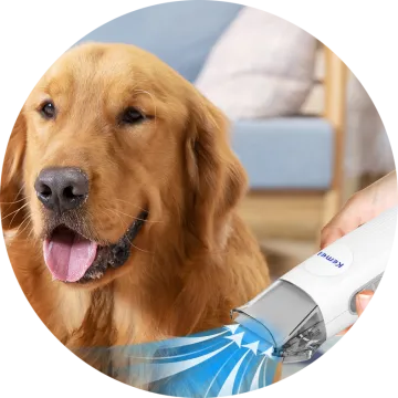 logo مؤسسة الفردوس – وكيل معتمد من شركة kemei (1)